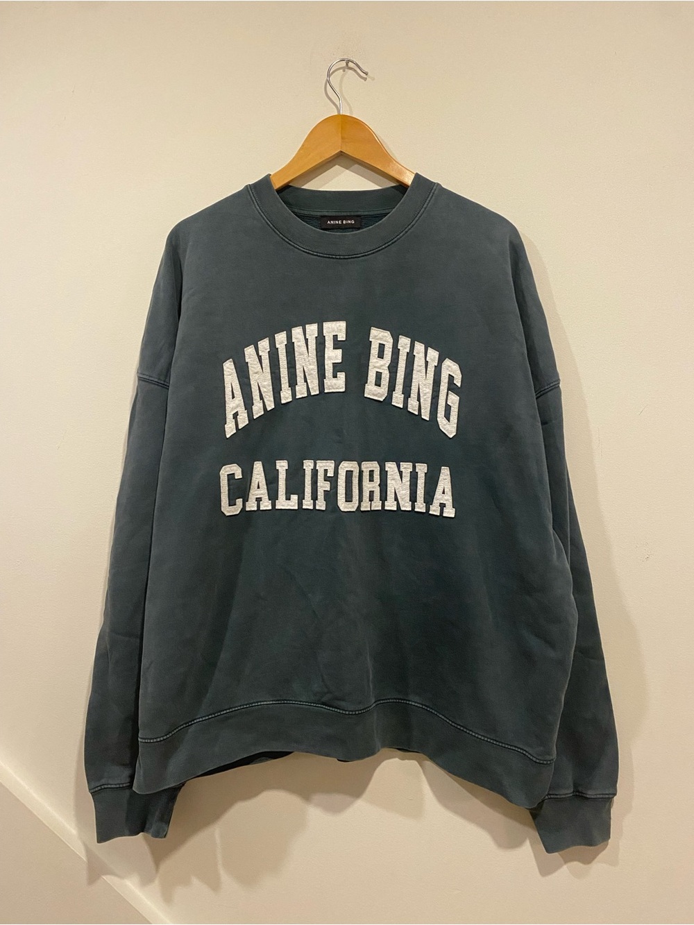 ANINE BING oversized distressed sweatshirt
